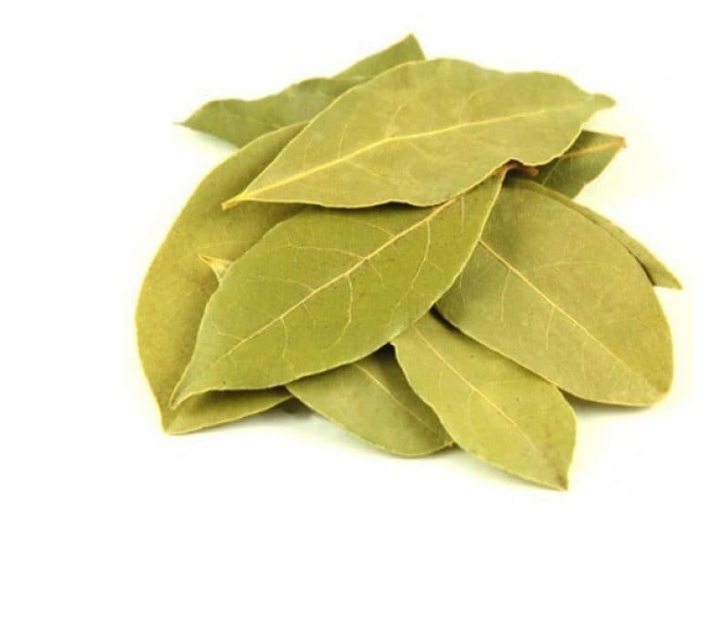 Bay Leaf