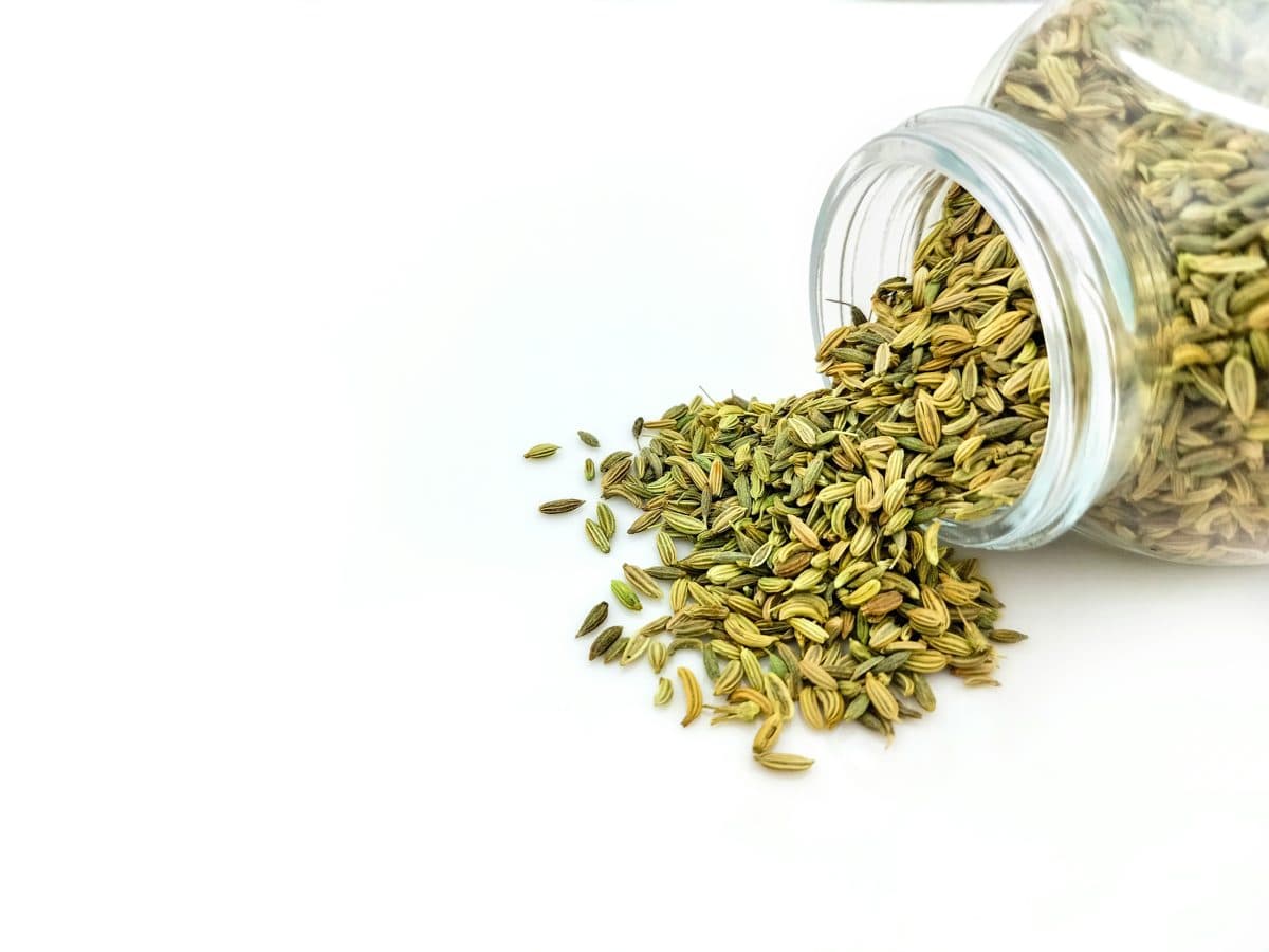Fennel Seeds